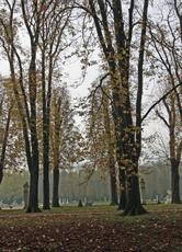 Herbststimmung-23-10-09 022.jpg